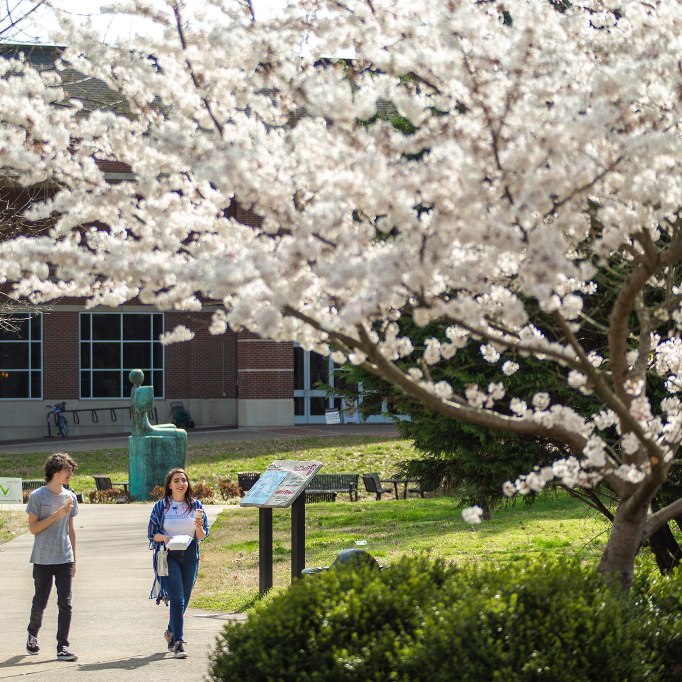 Students walking on campus on a spring day