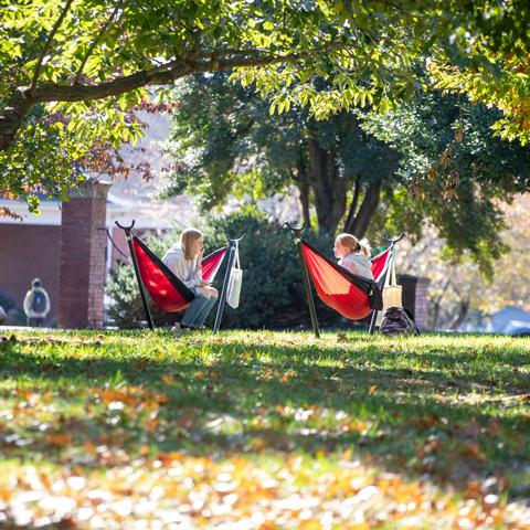 Students enjoying the campus hammocks on a sunny day. 